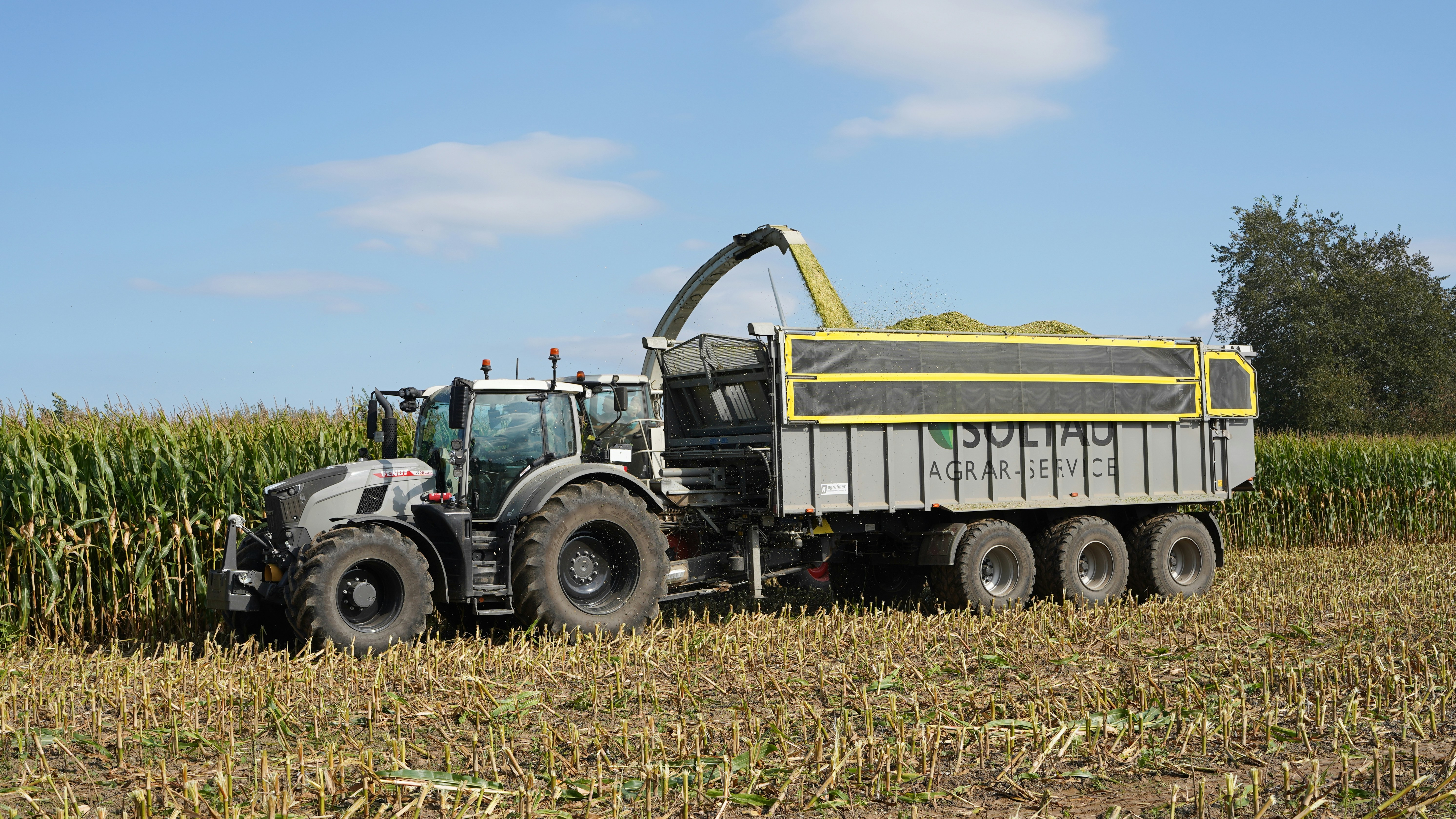 Agriculture and agribusiness in West Africa — crops, harvest, farmland
