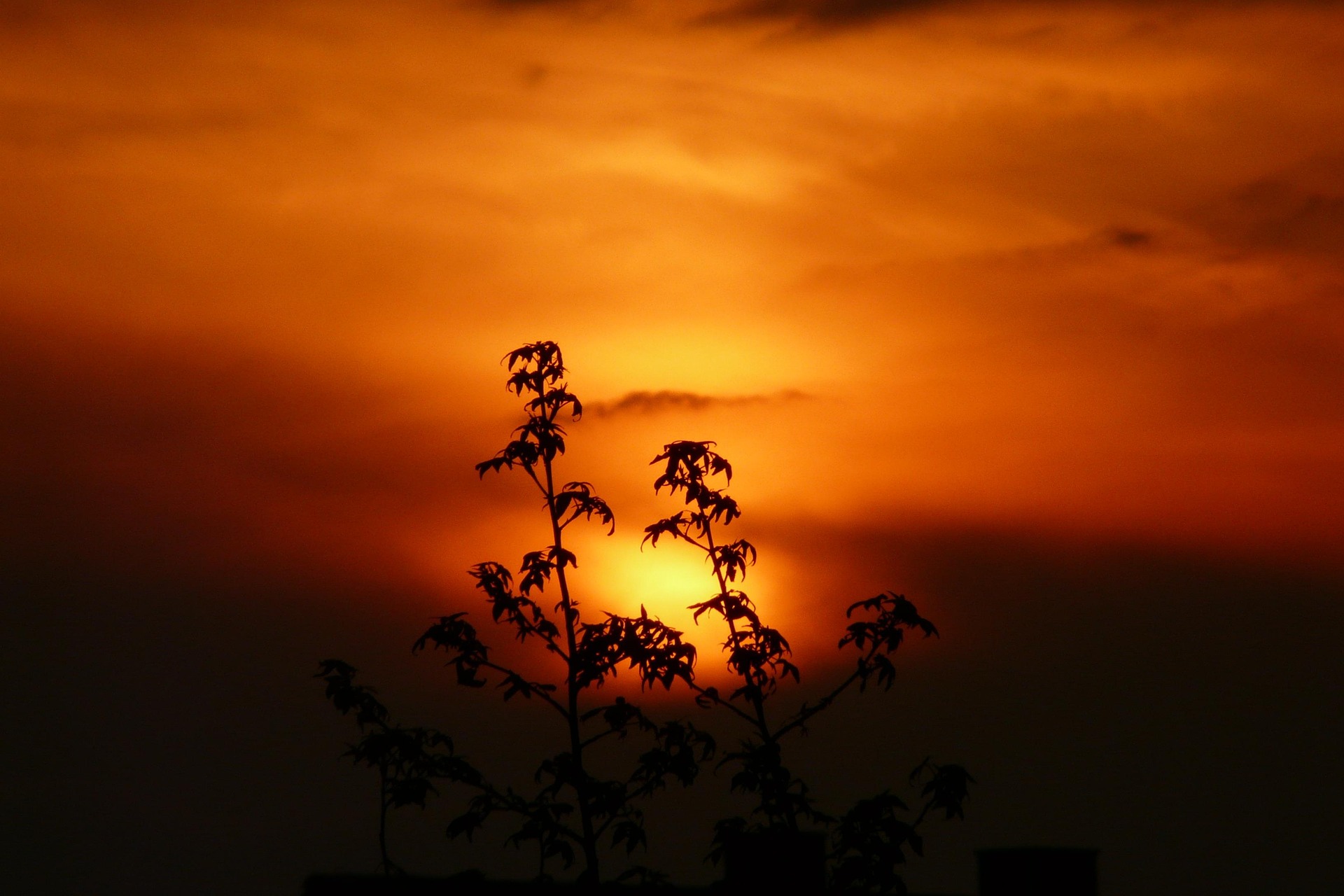 Sage Insights Group vision — Accra Ghana skyline representing West Africa business future